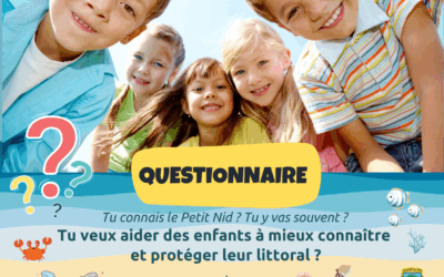 Questionnaire | Plage le petit Nid