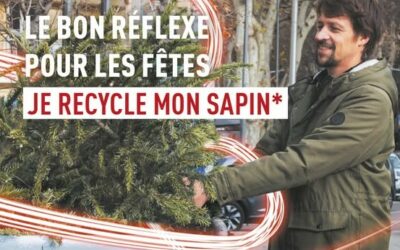 Collecte des sapins de Noël à Sausset-les-Pins