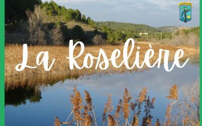 Accès à la Roselière Fermé
