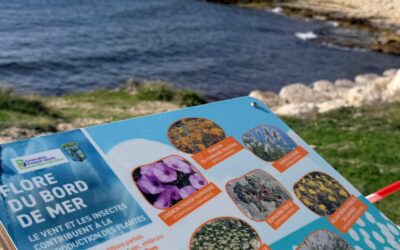 La Nature prend la parole