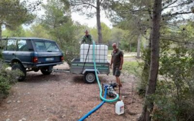 Canicule : un peu d’eau pour beaucoup de vie